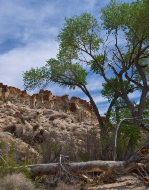 grapvine-canyon-2012-03-29-1050-withadjustments