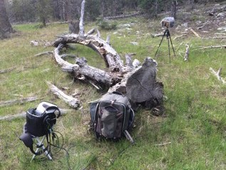 Samples of Soundscapes