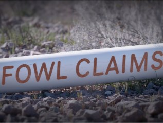 “Fowl Claims” – The&nbsp;Documentary